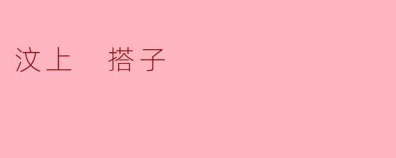 汶上 搭子